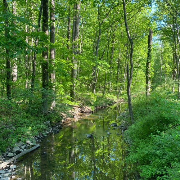 Meet your Posher, Magdalena - Picture 2 of 2